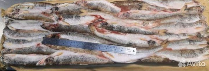 Икра, краб, креветка, рыба, морепродукты оптом