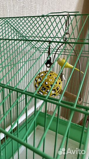 Клетка для волнистого попугая