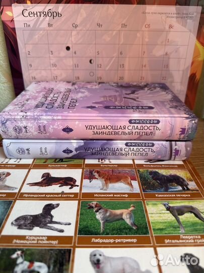 Дянь Сянь. Дилогия