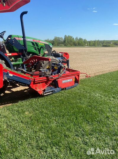 Рулонный газон/продажа