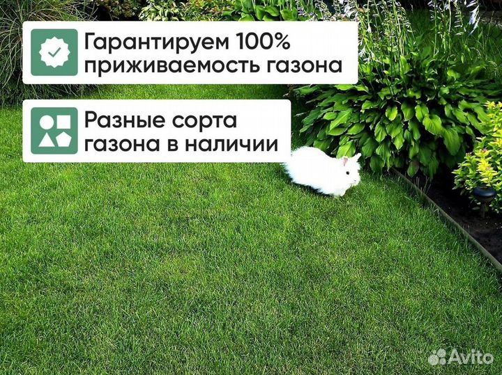 Газон в рулонах с доставкой и укладкой
