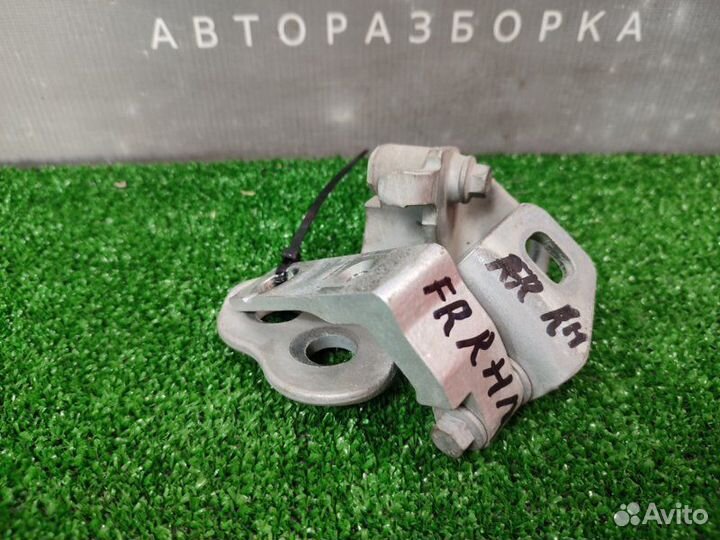 Петли двери передние правые Ford Focus 3 седан