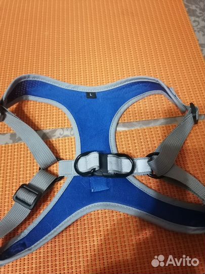 Намордник и шлейка