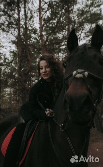 Фотосессии с лошадьми