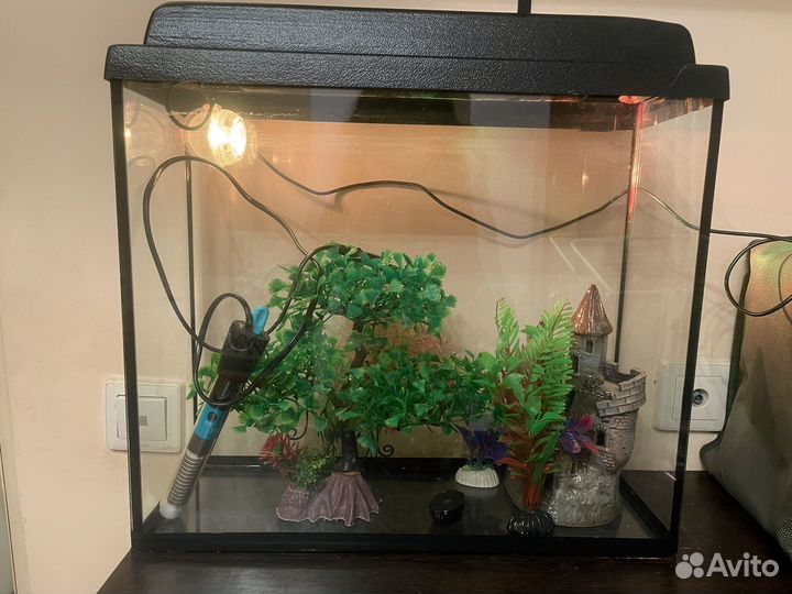 Аквариум