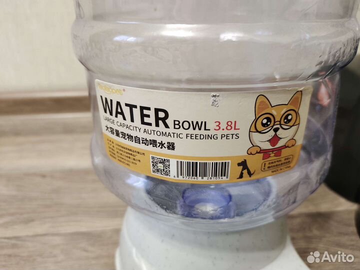 Домашние животные