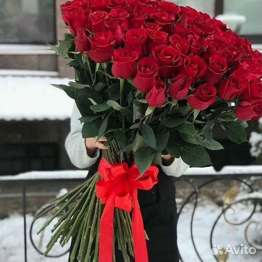 Розы Букеты Цветы Розы 31 101 151 201 Доставка
