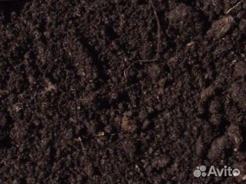 Плодородный торф, Грунт для грядок, Чернозём без п