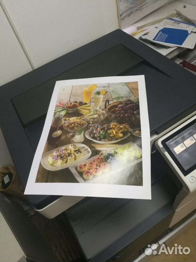 Konica minolta bizhub c227