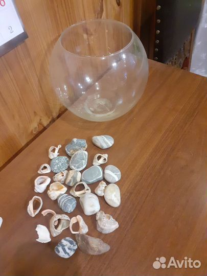 Набор для аквариума 4 литра ракушки и камни