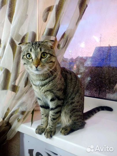 Открытка postcrossing