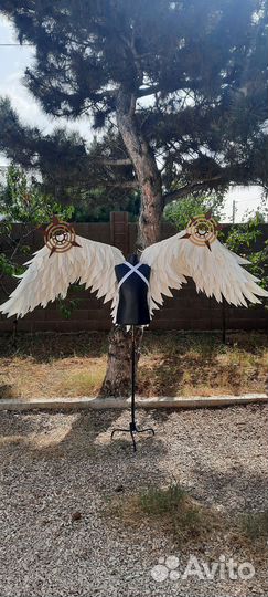 Крылья Ангела