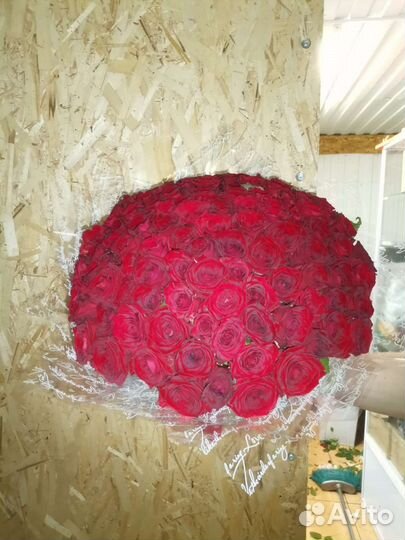 25, 33, 51, 101роза Цветы Ставрополь