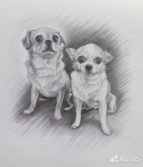 Уроки рисования (репетитор по рисованию)