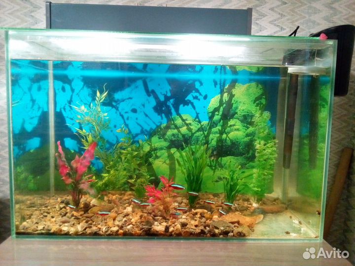 Аквариум с рыбками б/у 100 литров