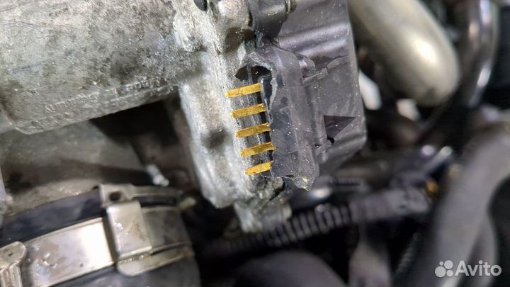 Двигатель Volkswagen Scirocco 2008- cbdb