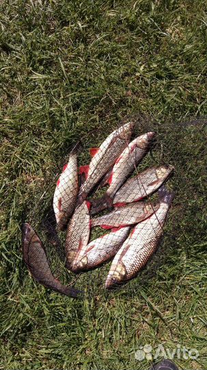 Лодка Адмирал 320