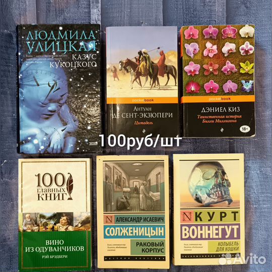 Книги по 100