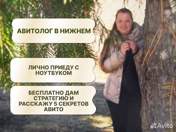 Авитолог\обучение\настройка\аудит