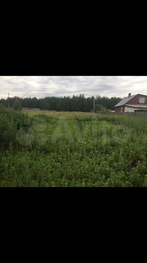 Участок 16 сот. (СНТ, ДНП)