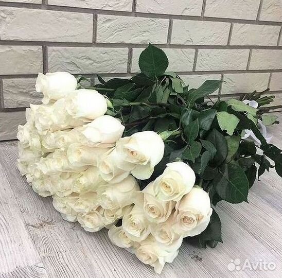 Высокие метровые розы