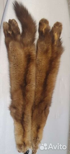 Шкуры соболя