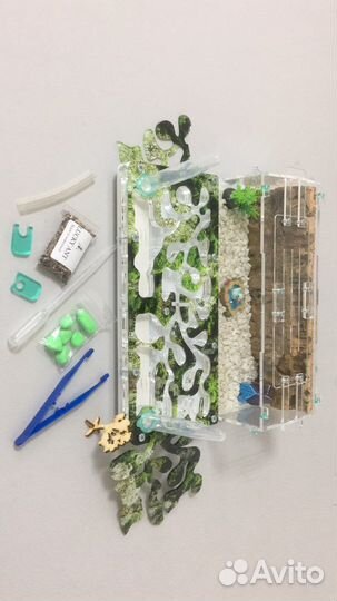 Муравьиная ферма с муравьями и доставкой