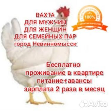 Вахта пищевое пр-во 2070 смена проживание еда