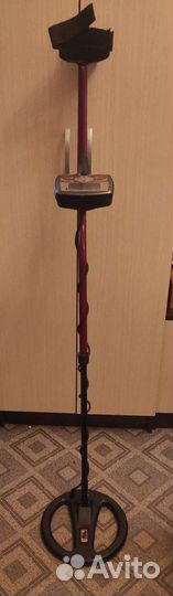 Металлоискатель аренда minelab x-terra 505