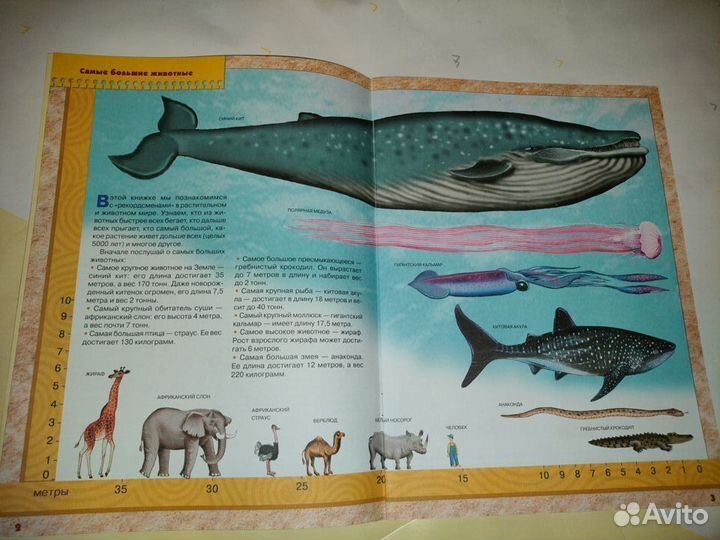 4 книжки Школы семи гномов