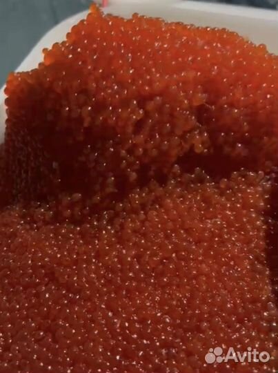 Красная икра нерки 2023 оптом