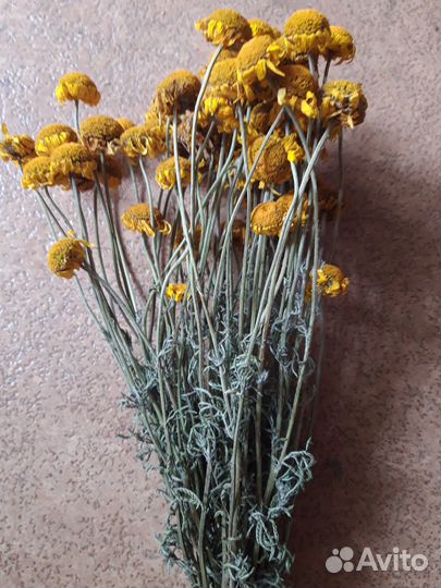 Травы лекарственные,для декора.Скрутки из трав