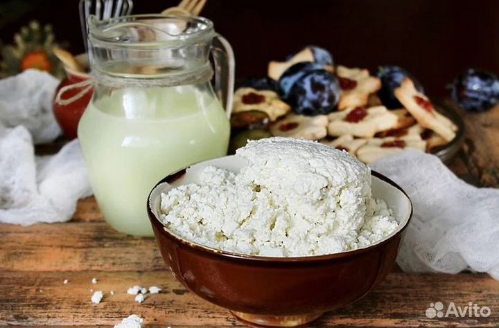 Творог Оптом