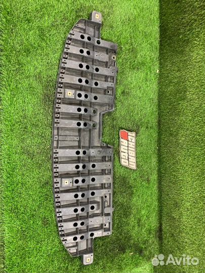 Защита бампера Toyota Wish ZGE25