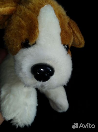 Собака Елюшка 0-3 еас