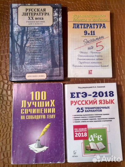 Русский язык и литература. ОГЭ и ЕГЭ