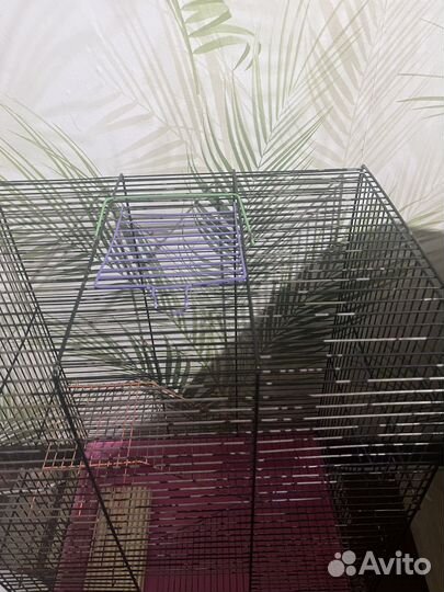 Клетка для грызунов