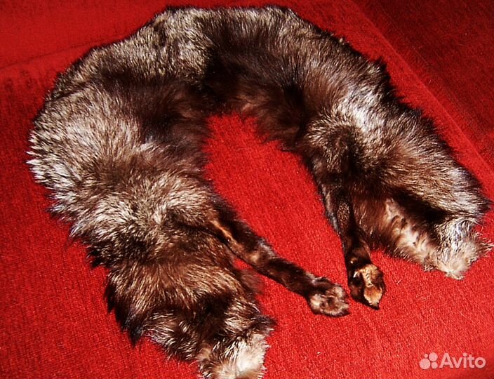 Меховой воротник - горжетка из чернобурки