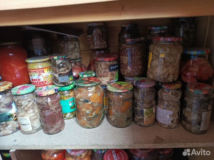 Грибы маслята маринованные, подосиновики, опята