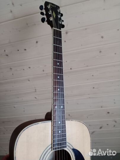 Акустическая гитара cort 880