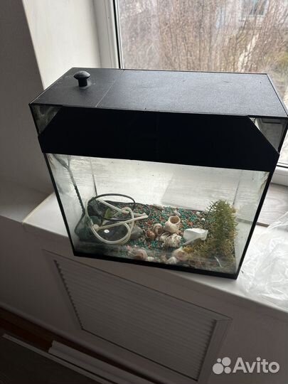 Аквариум