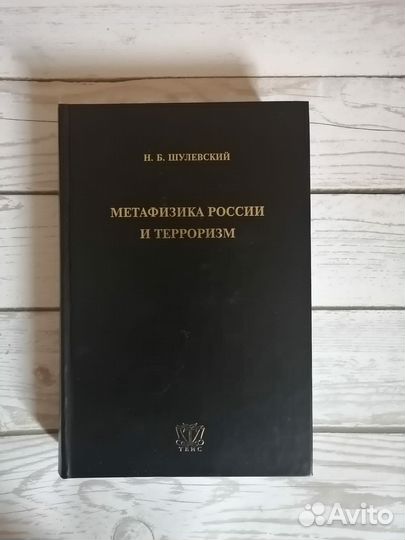Н. Б. Шулевский. Метафизика России и терроризм