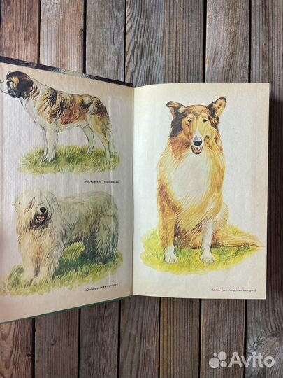 М. Г. Псалмов 