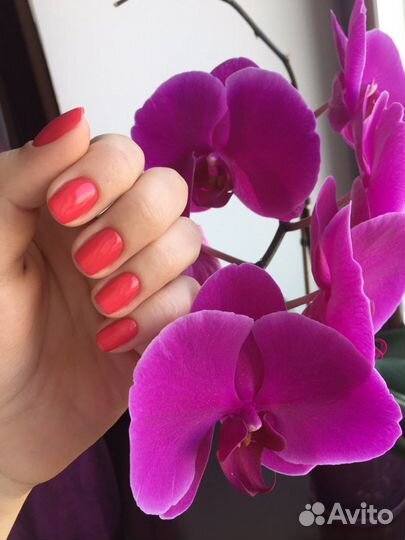 Маникюр и педикюр