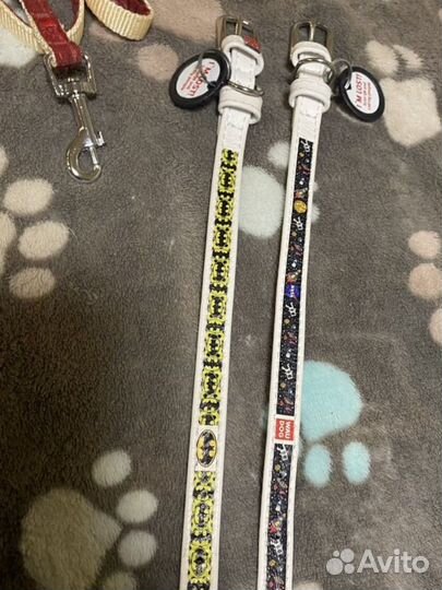 Новые шлейки и ошейники для мелких собак