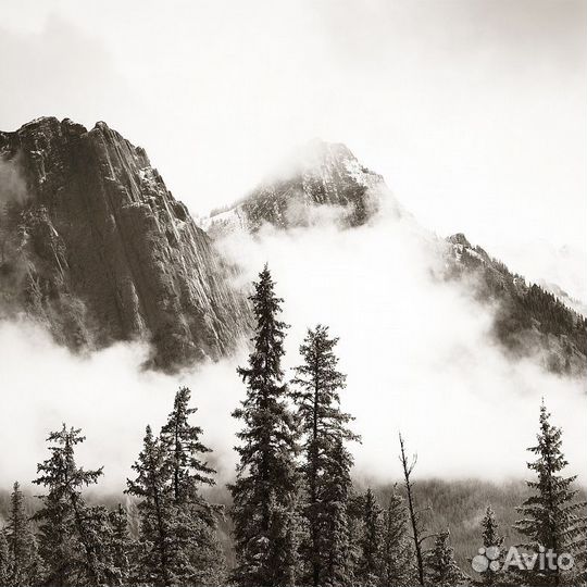 Авторские фотообои 