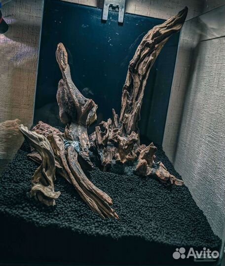 Коряги для аквариума