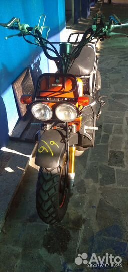 Хонда zoomer