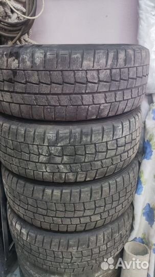 Dunlop Winter Maxx 215/55 R16 97T