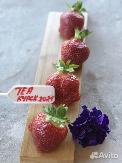 Саженцы Клубники в стаканах